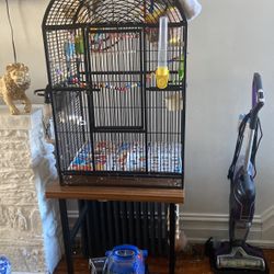 Cage And Table 