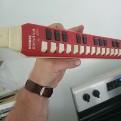 vintage Hohner Alto melodica recorder 