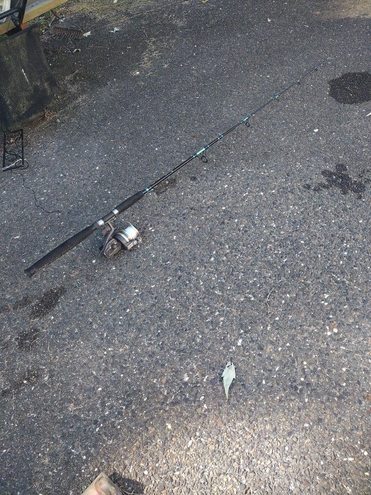 Abu Garcia Fishing Pole With Fish Ing Reel