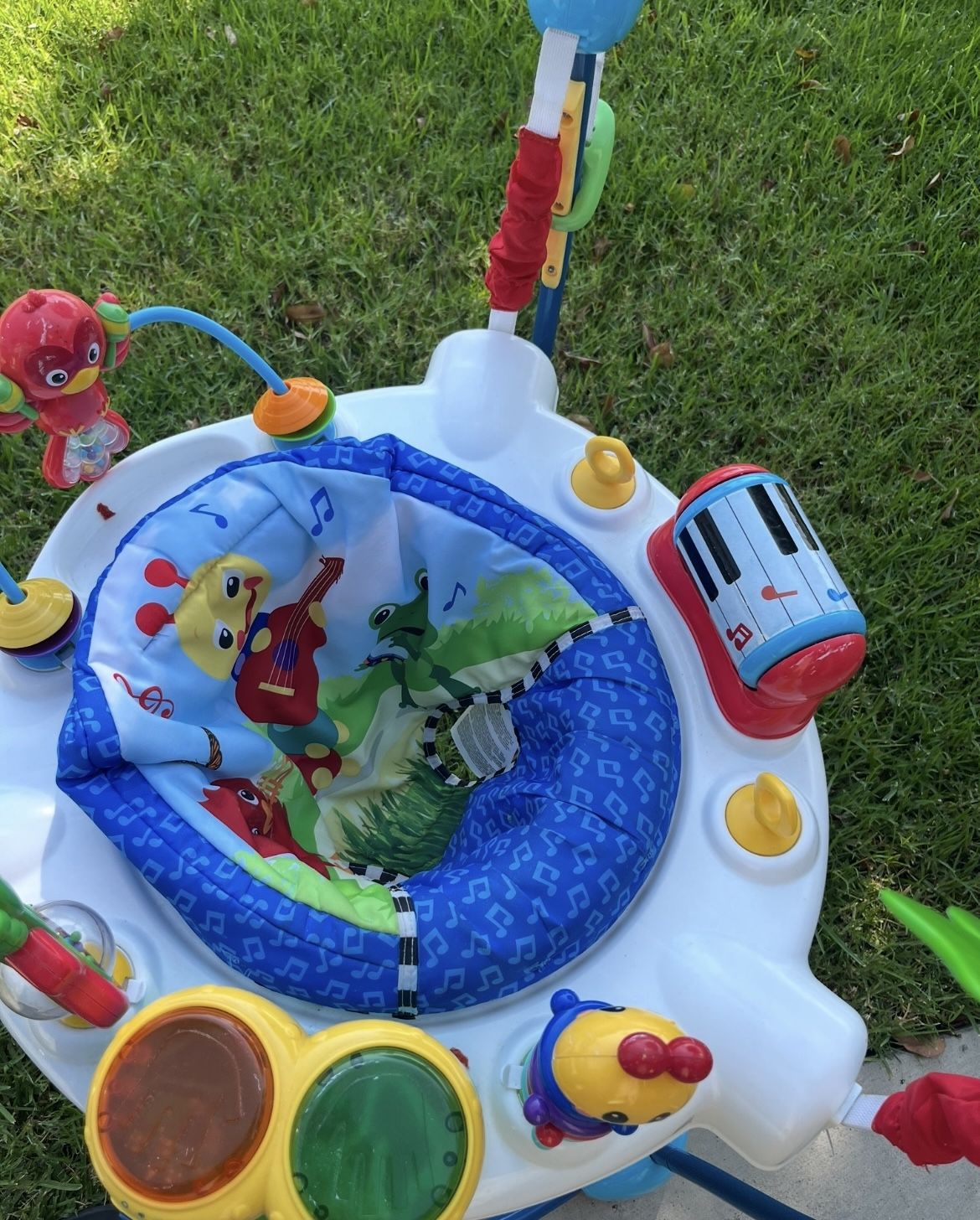 Baby Bouncer