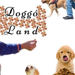 Dog Sitting/ Trainer 
