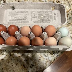 Fresh Eggs 5.00 Per Dozen