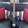 Bass Guitar Player