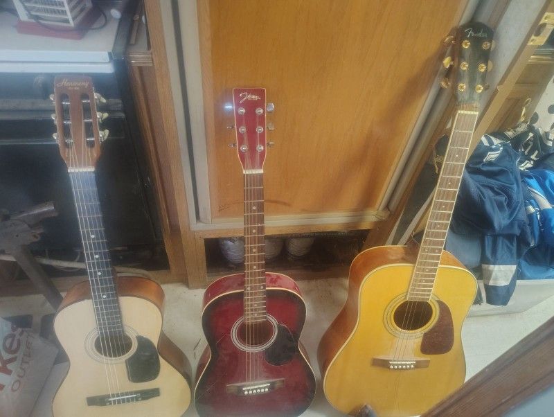Acoustic Guitars 