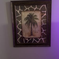 Framed Photo Of Palm Tree 