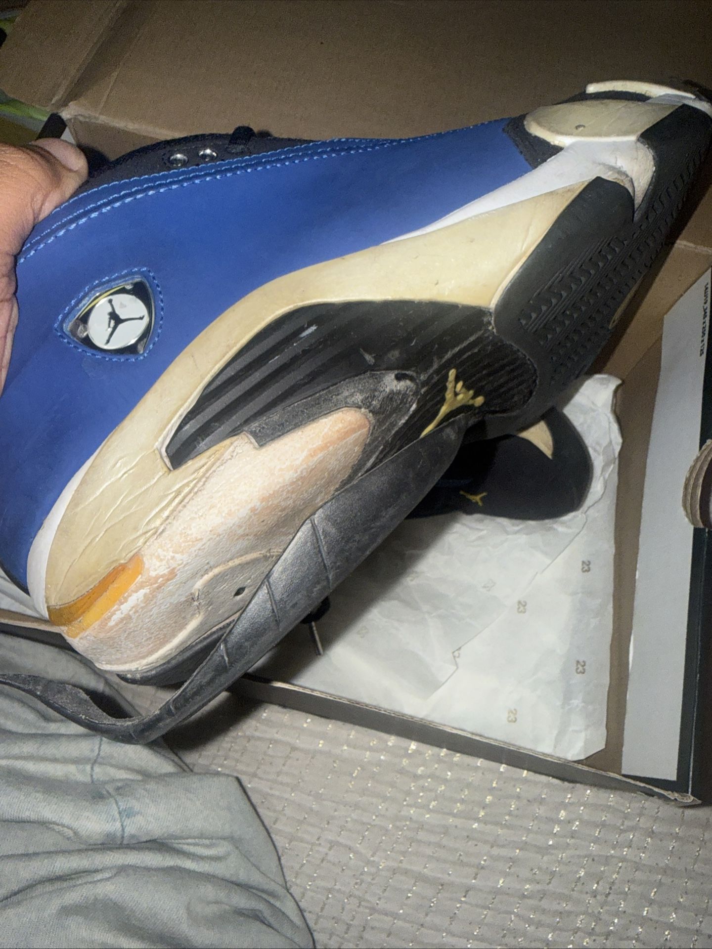 Jordan 14 Laney 