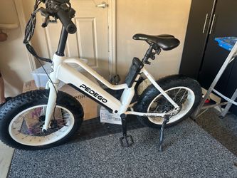 Pedego bike