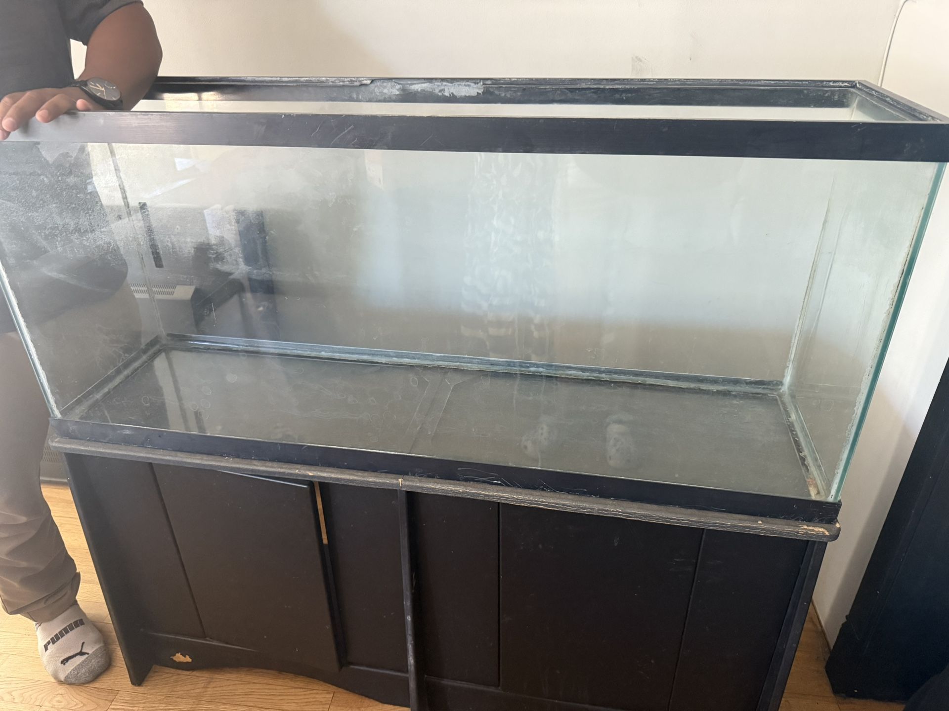 50g Fish/Turtle tank 