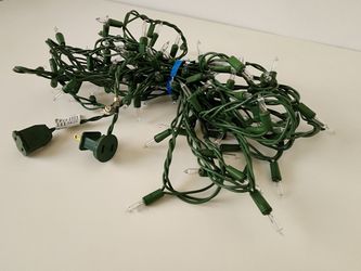 100-Led Lights Clear Bulb - Green Wire Indoor/Outdoor