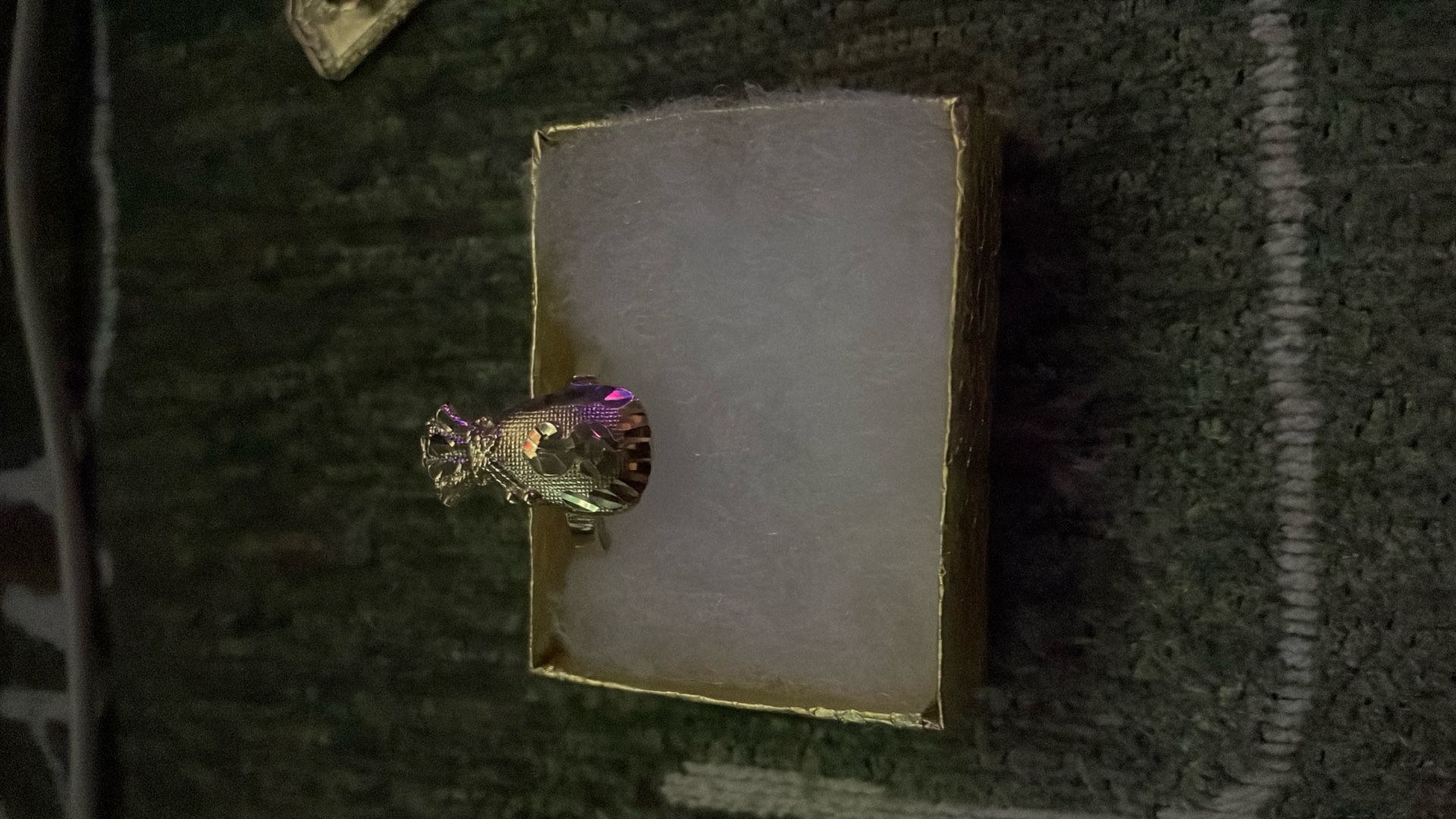 Money bag ring