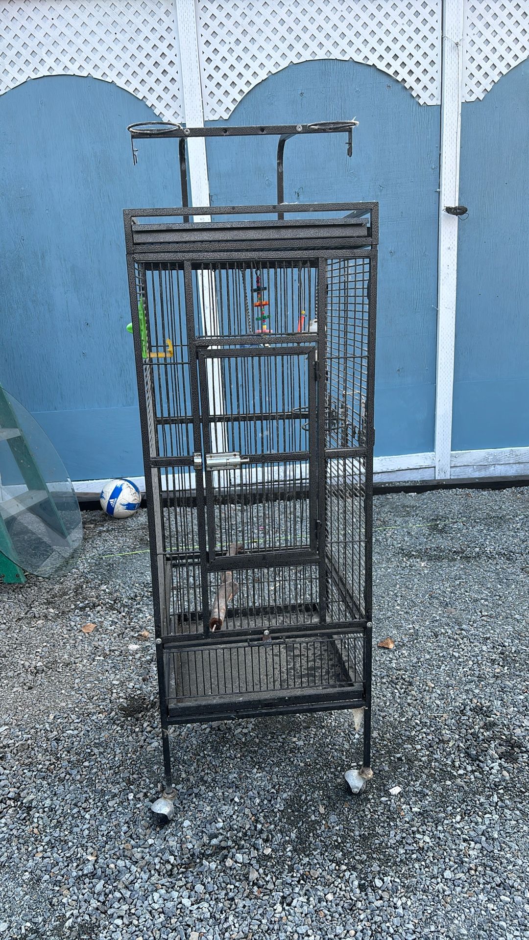 Bird Cage