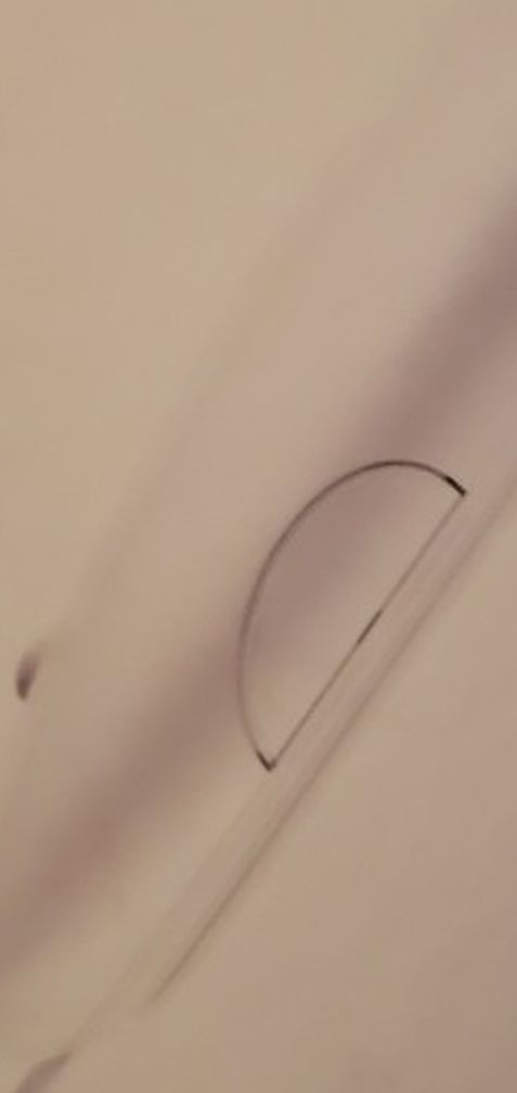 Apple Mouse
