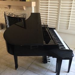 Baby Grand Piano Suzuki With Bench 