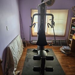 Hoist Home Gym