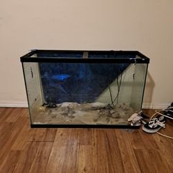 50 Pound Aquarium 