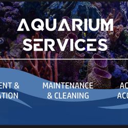 Aquarium Salt Water Fish Tank Care 