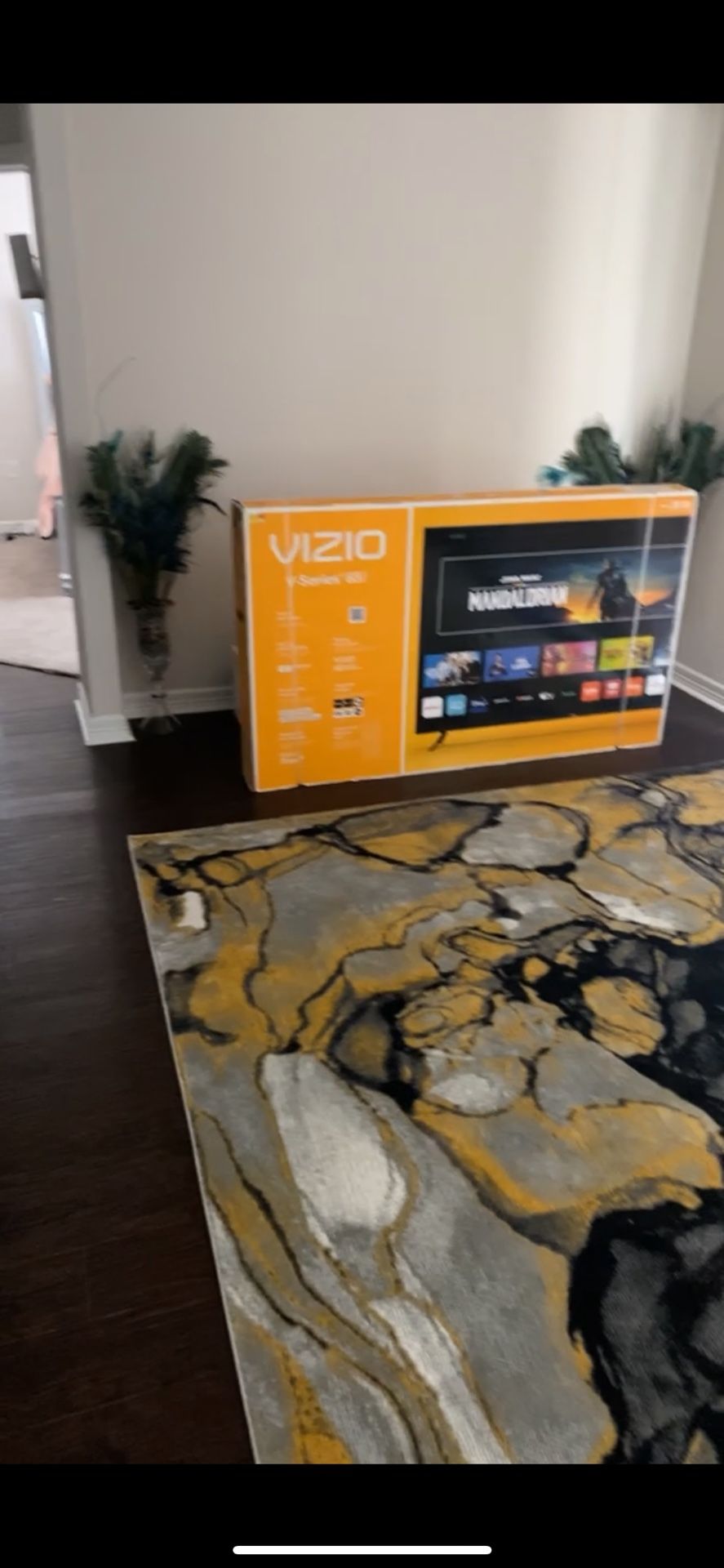Vizio 65” Tv