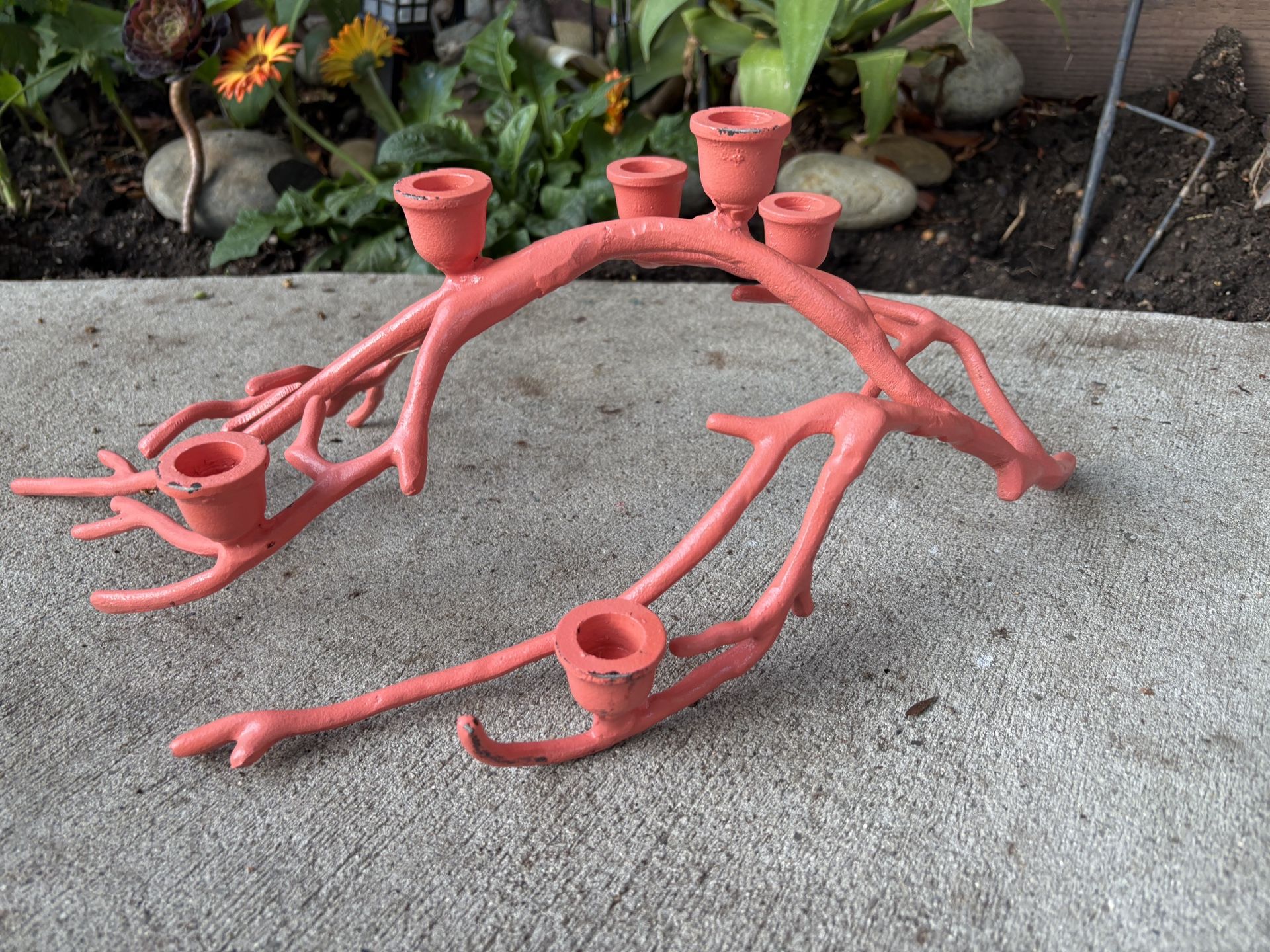 Coral Candle Holder!