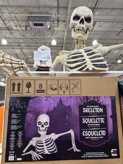 Skeleton head