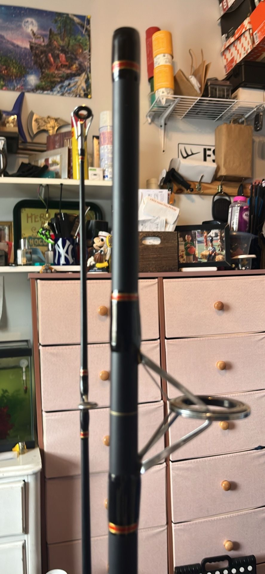 Daiwa Surf Rod