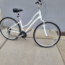 Mint 21 Speed Giant Hybrid 