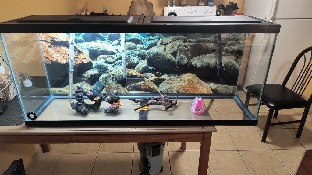 55g Fish Tank 