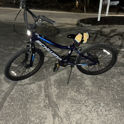 20 Inch Shwinn Bike