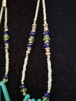 💚 Native American Seahawks Earrings