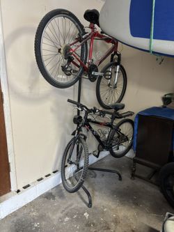 Bike tree