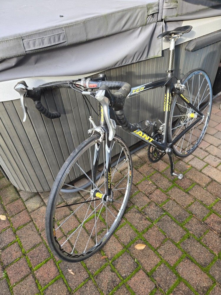 Giant TCR (medium frame size)