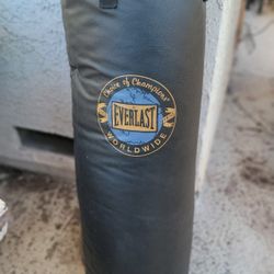 Everlasting Boxing Bag