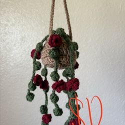 Crochet Plant Decor