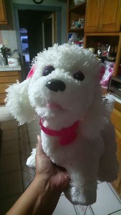 Toy puppy
