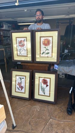 Professionally Framed Flower Prints