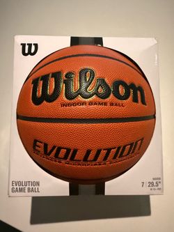 Wilson evolution indoor basketball