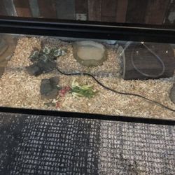 Breeder Tank