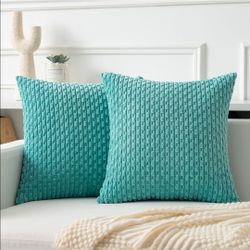 Kevin Textile Soft Corduroy 20x20 Inch Pillow Covers 2 Pack, Aqua Green
Boho Stripe Plush Corduroy Decorative Throw Cushion Pillow Cases Modern Farmho