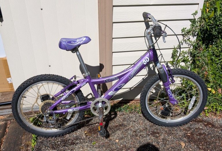 Trek Mountaintrack 60 20" Wheel Kids Bicycle Purple