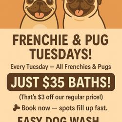 BATH SPECIAL