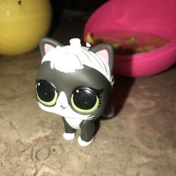 LOL Pet Cat