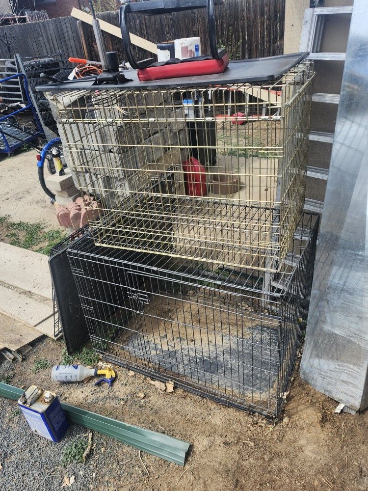 Dog Cages