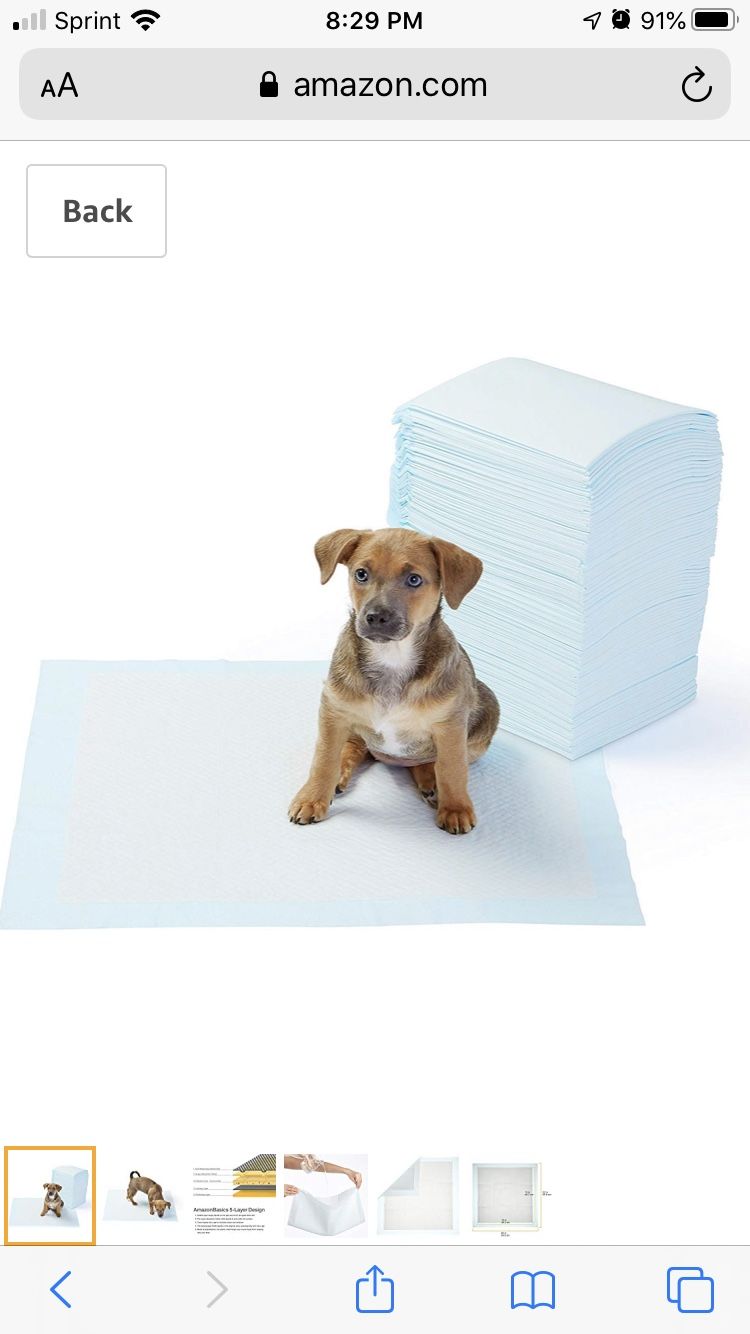 Pet Training and Puppy Pads