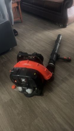 Echo Backpack Blower