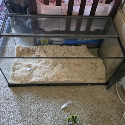 Reptile Tank