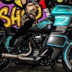 2009 Harley Davidson Road King