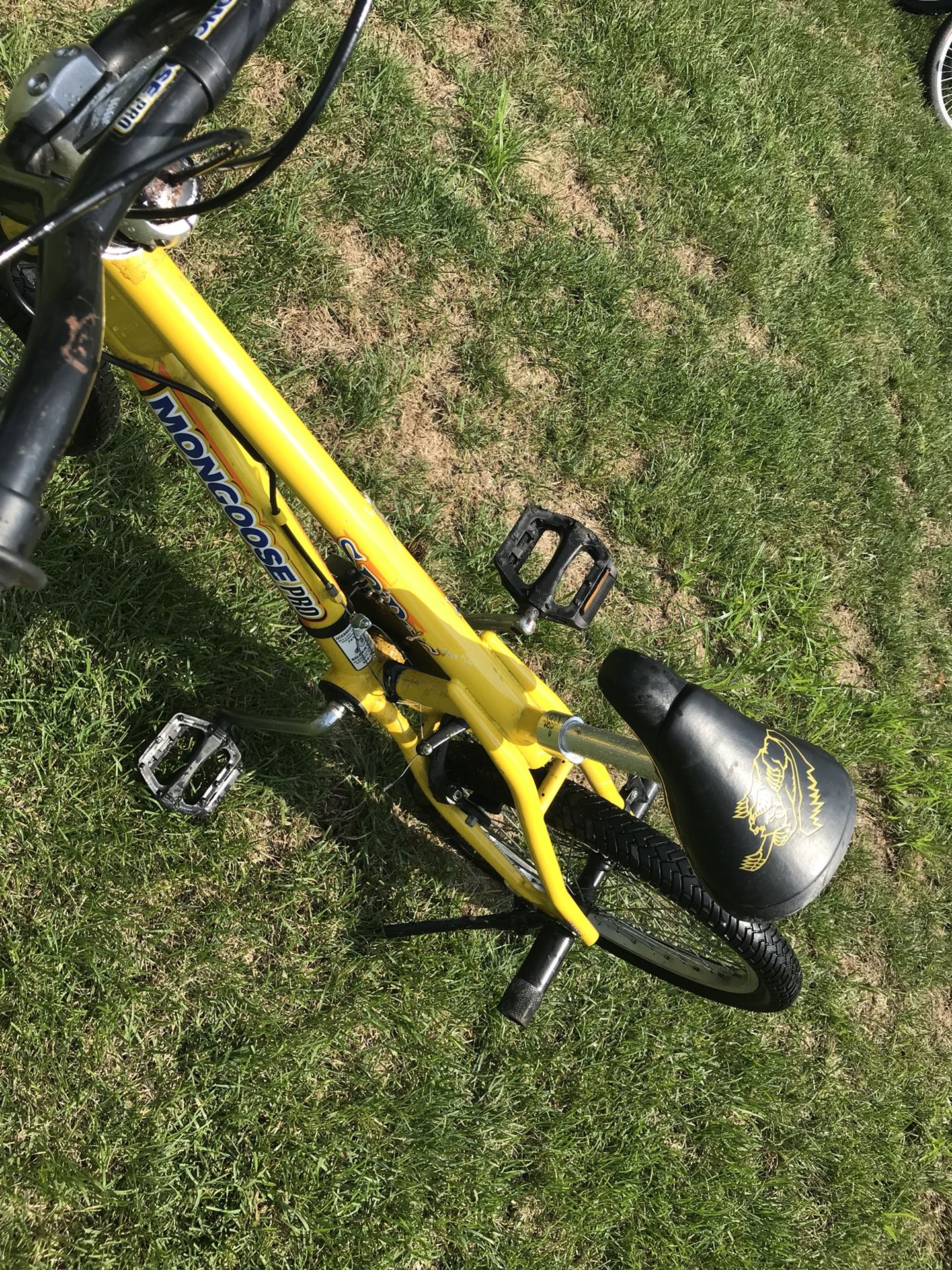 mongoose stylist for sale