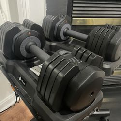 55lbs Adjustable Weights + Dumbbell Stand Rack