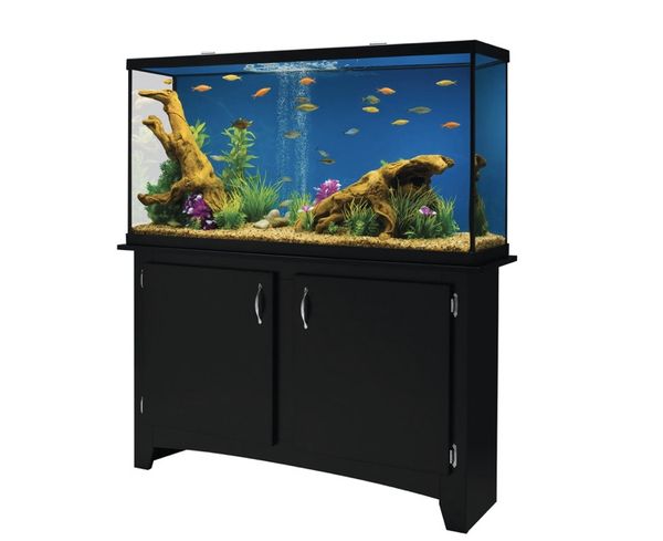 Fish tank & Stand Combo for Sale in Spanaway, WA OfferUp