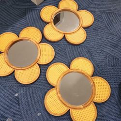 3 Flower Mirrors