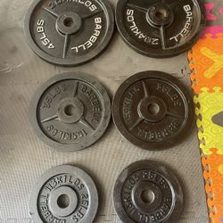 Olympic Weight Plates.    180  Dollars 